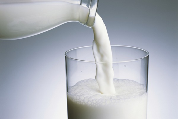 فروش شیر خشک بستنی + قیمت خرید به صرفه
